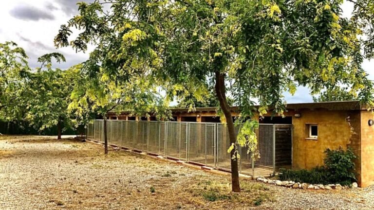 Residencia Canina Canisapiens – residencia canina en Girona