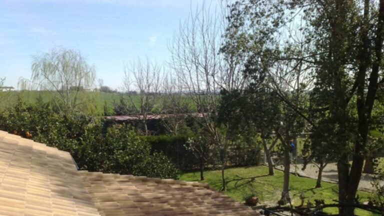 residencia canina can sport