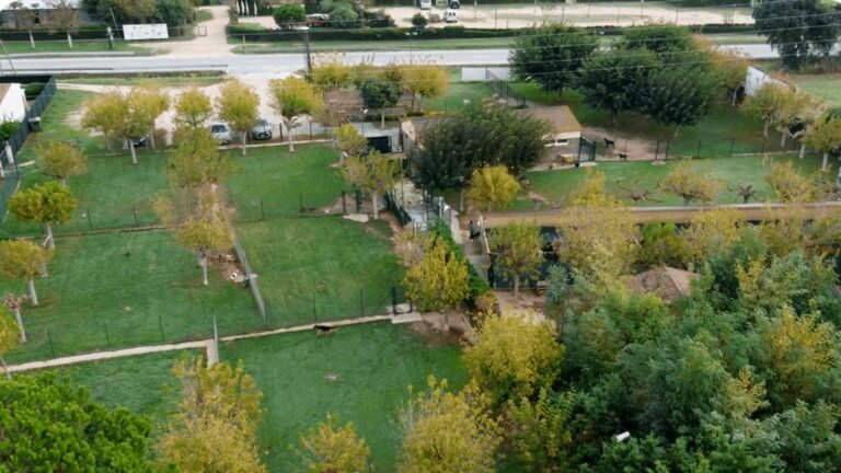 Residencia Canina La Reserva – residencia canina en Girona