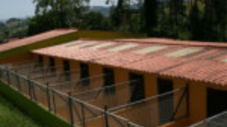 Residencia Canina Ruta Norte – residencia canina en Cantabria