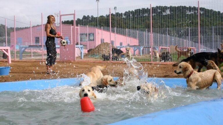 Guardería Canina Elena en La Costa Brava – residencia canina en Girona