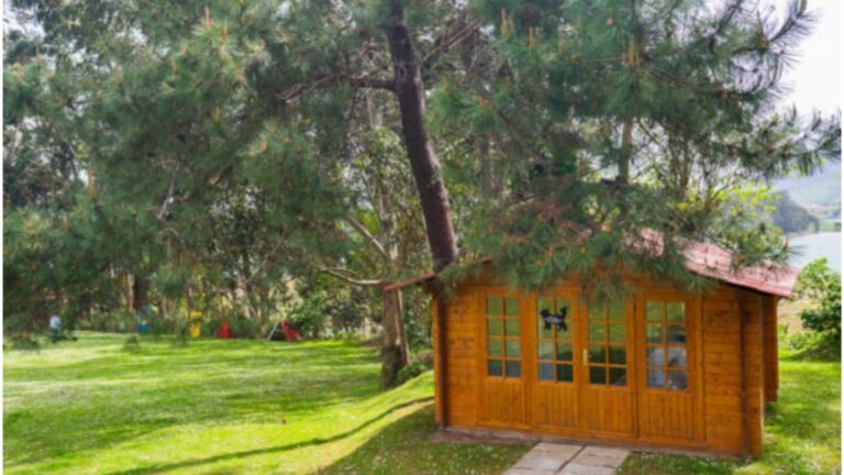 Residencia Canina Cecapa – residencia canina en Cantabria