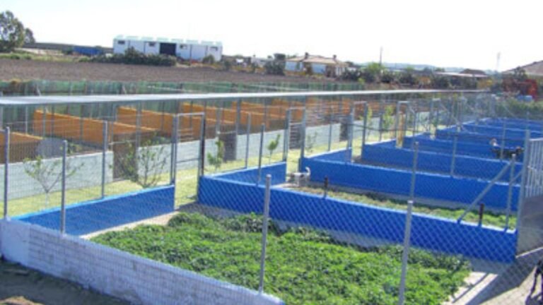 residencia canina los perales