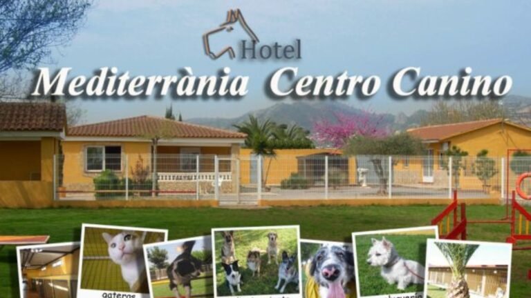 Centro Canino Mediterrania – residencia canina en Castellón