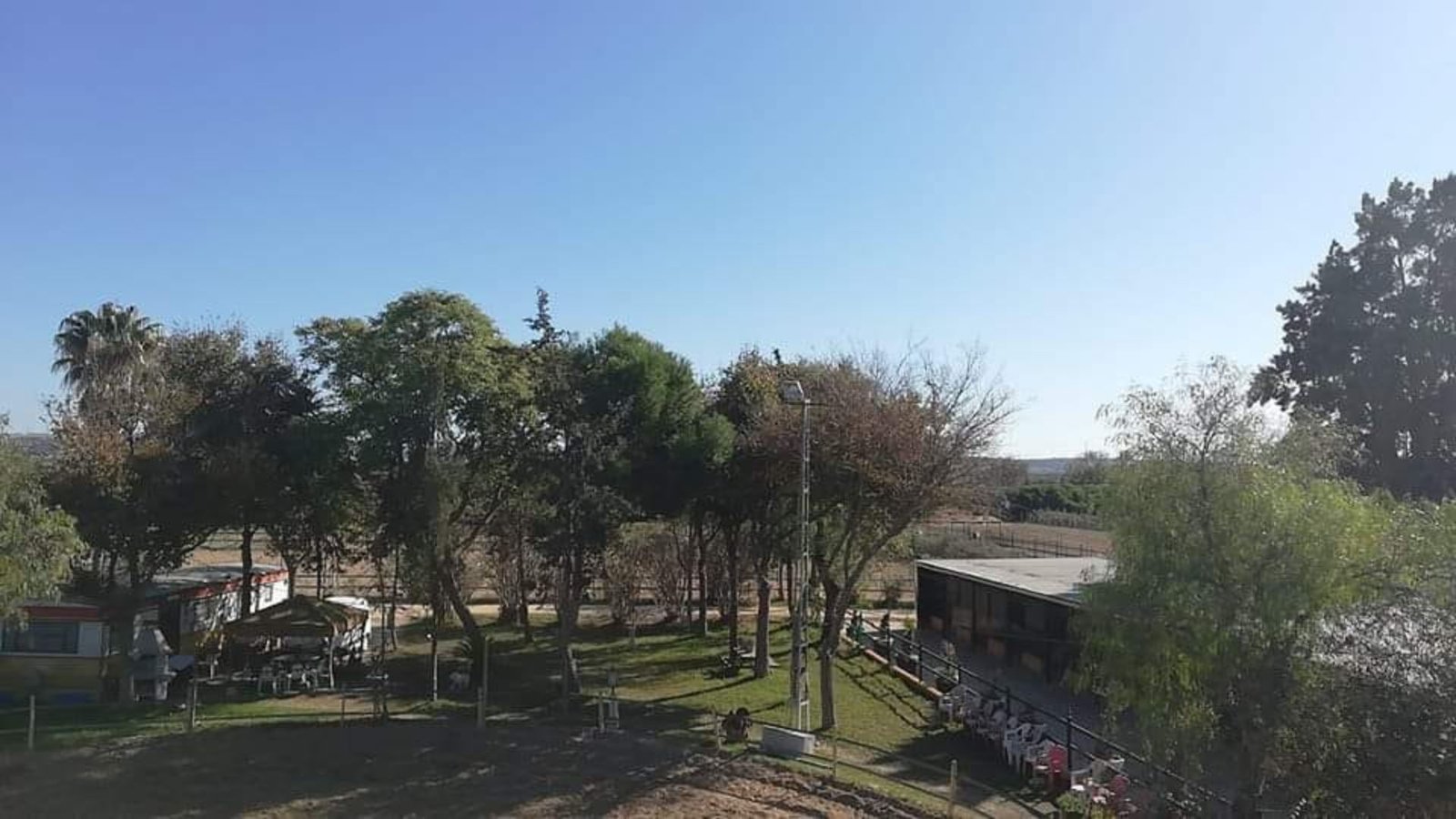 guardería canina xerez