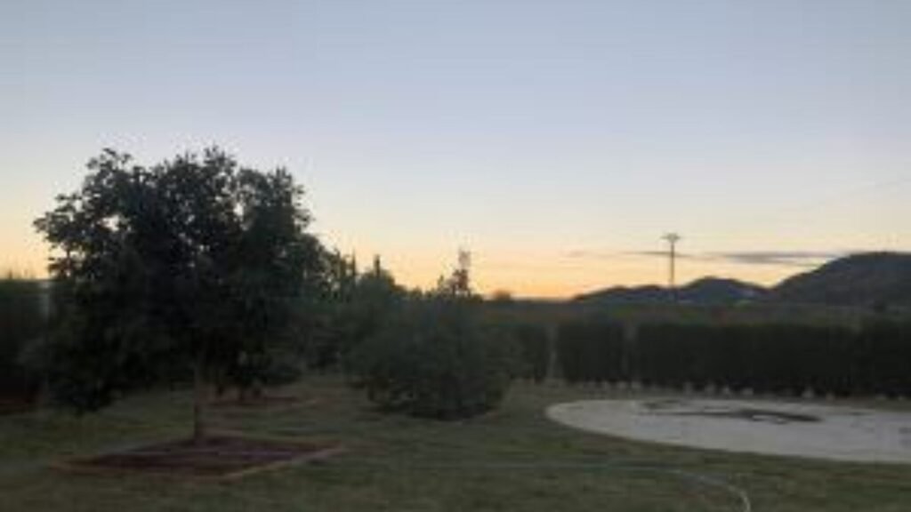 residencia canina las azancas