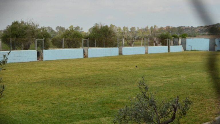 centro canino la luna