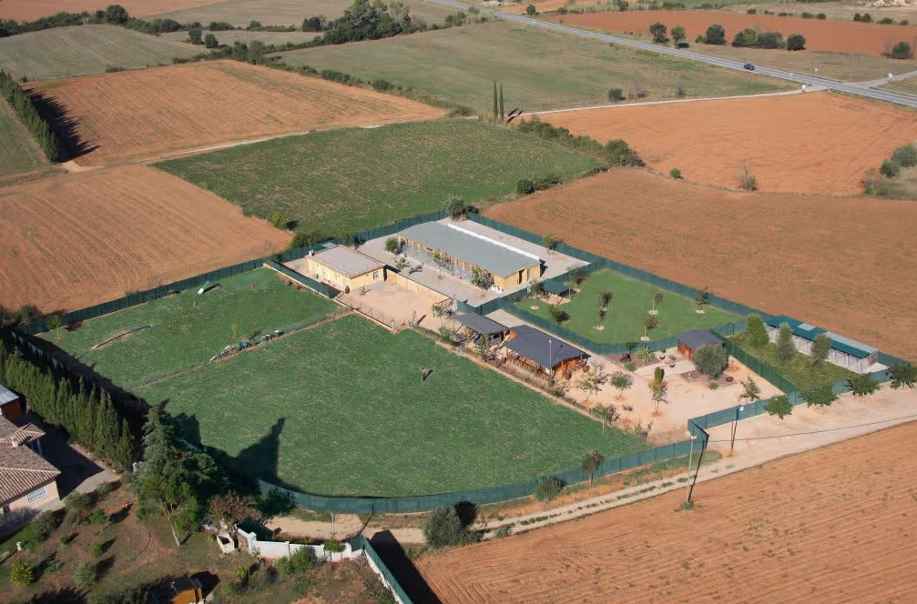 residencia canina canisapiens