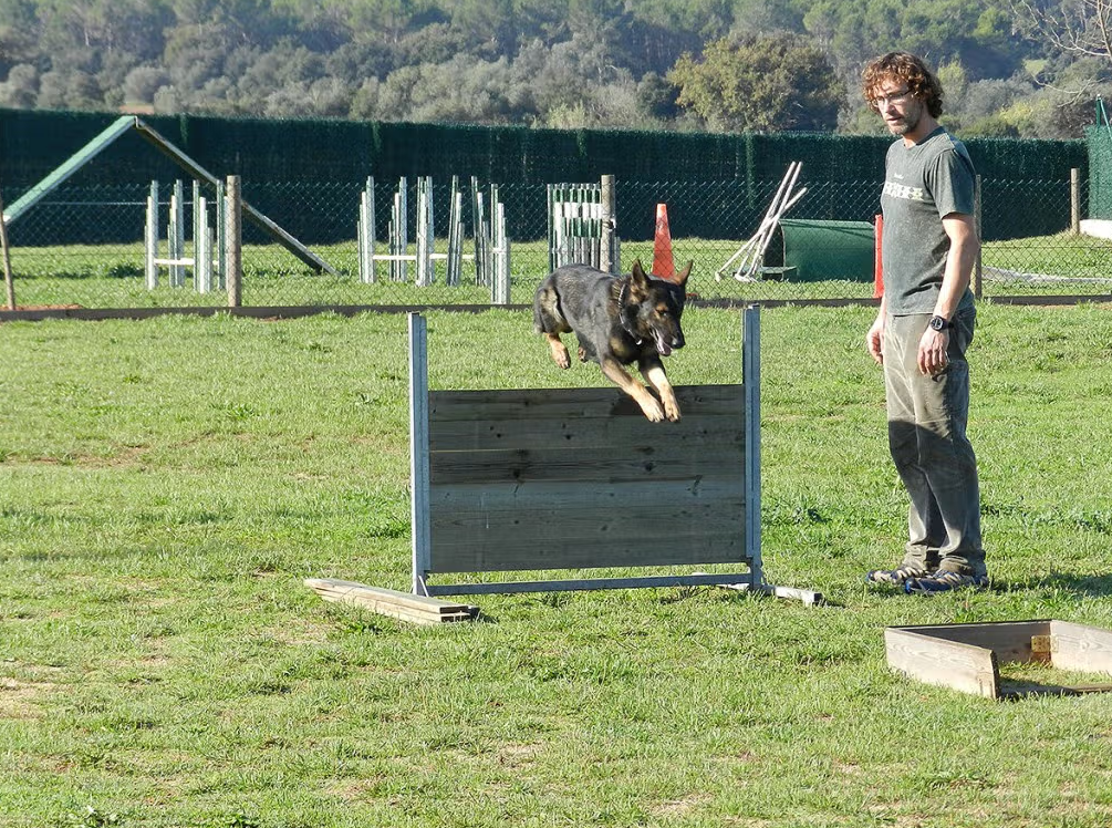 residencia canina canisapiens