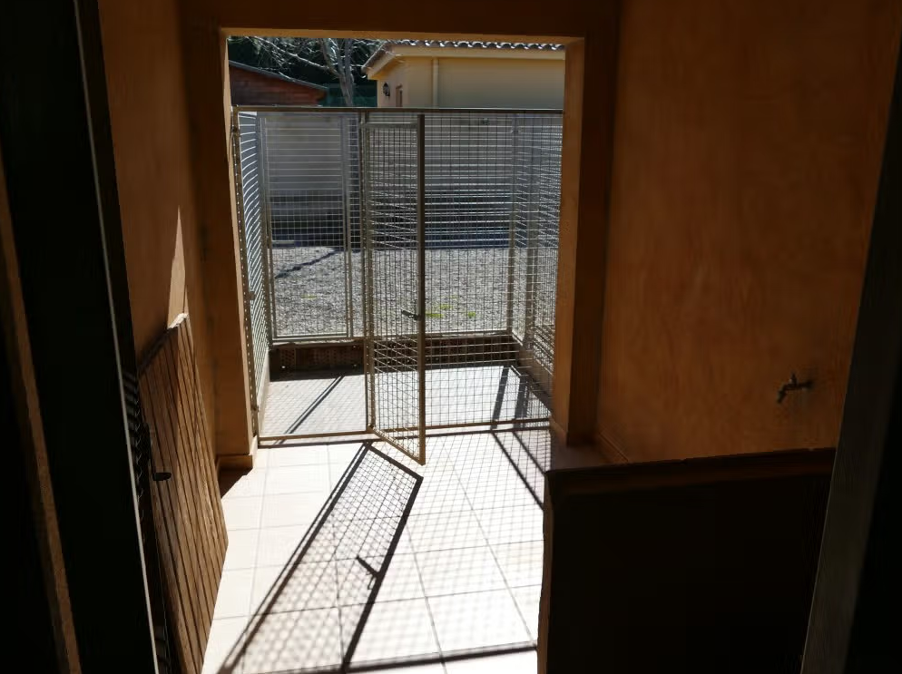 residencia canina canisapiens