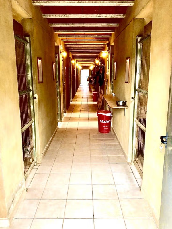 residencia canina canisapiens