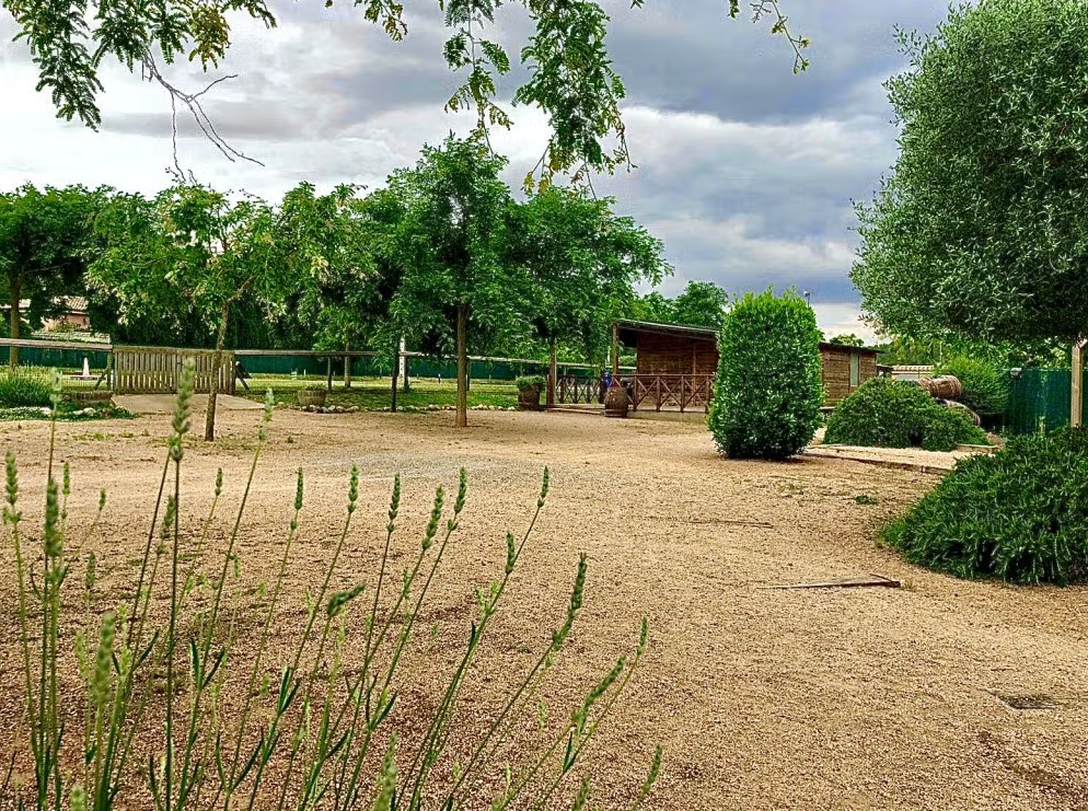 residencia canina canisapiens