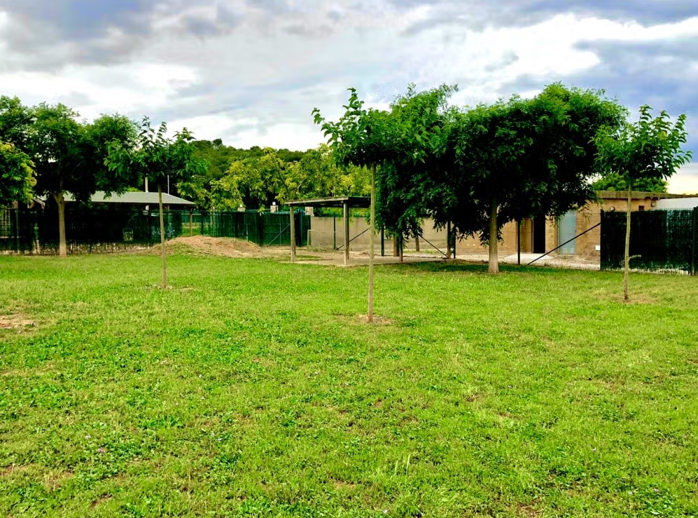 residencia canina canisapiens