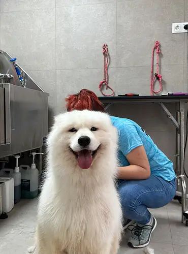 resort canino gosaventura