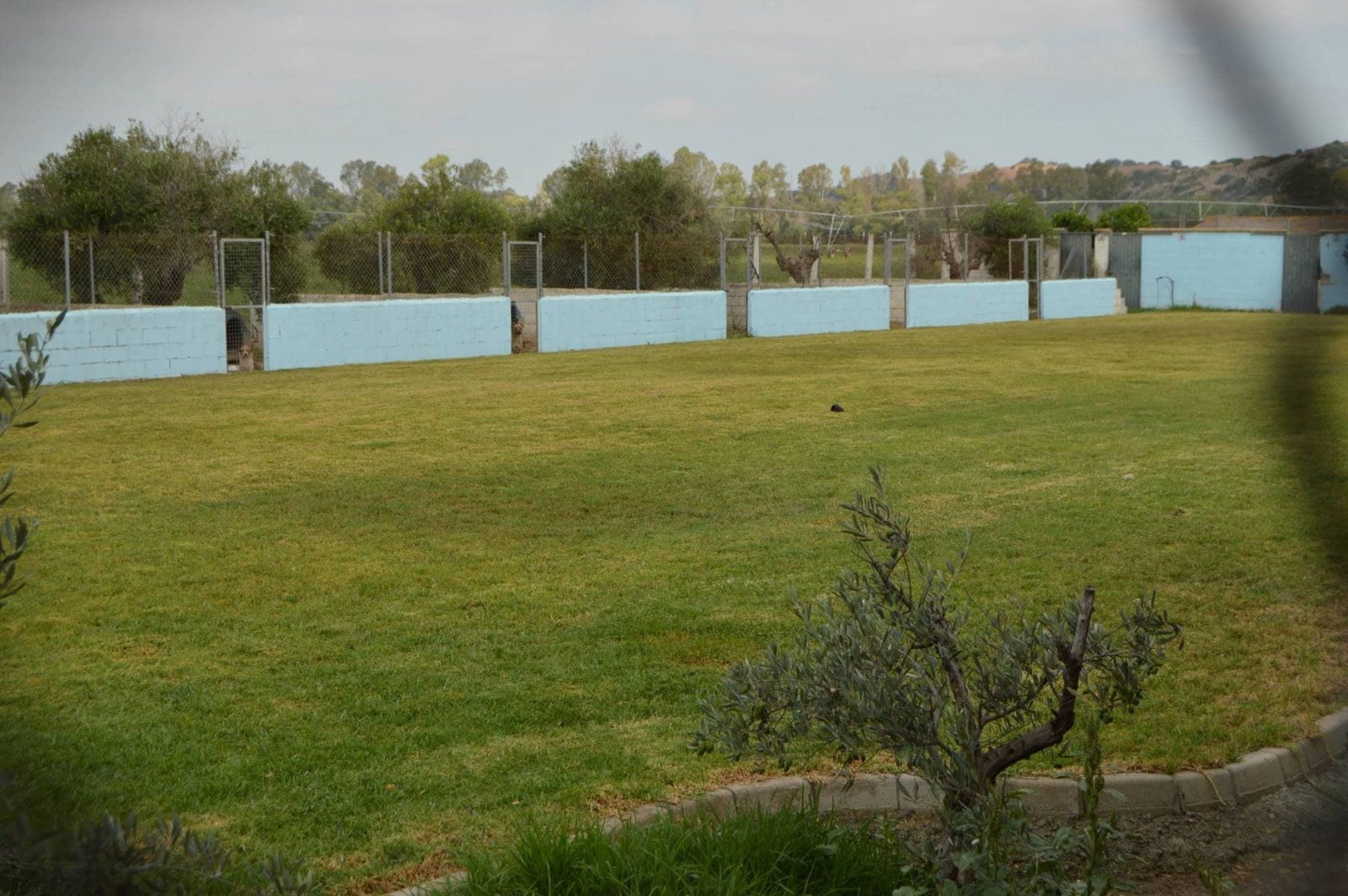 centro canino la luna