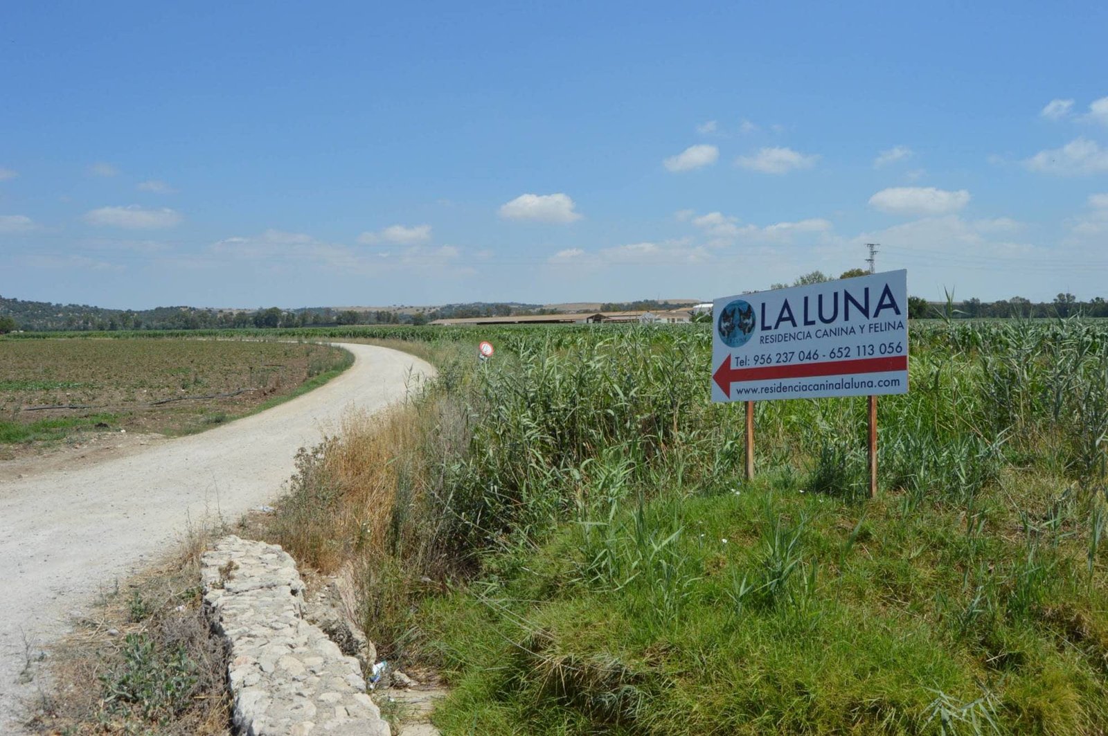 centro canino la luna