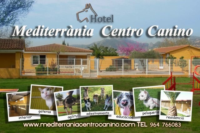 residencia canina mediterrania