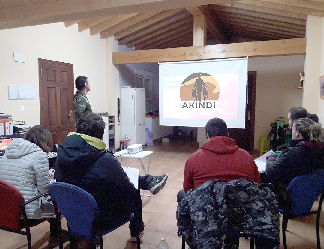 residencia canina akindi