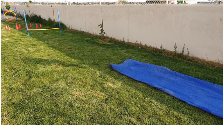 residencia canina tomelloso