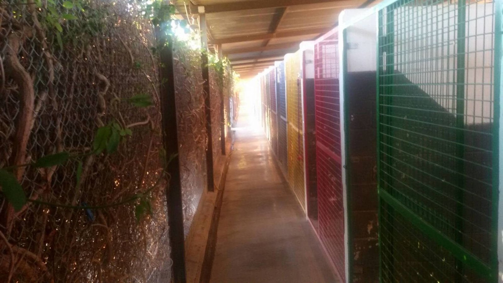 centro canino la luna