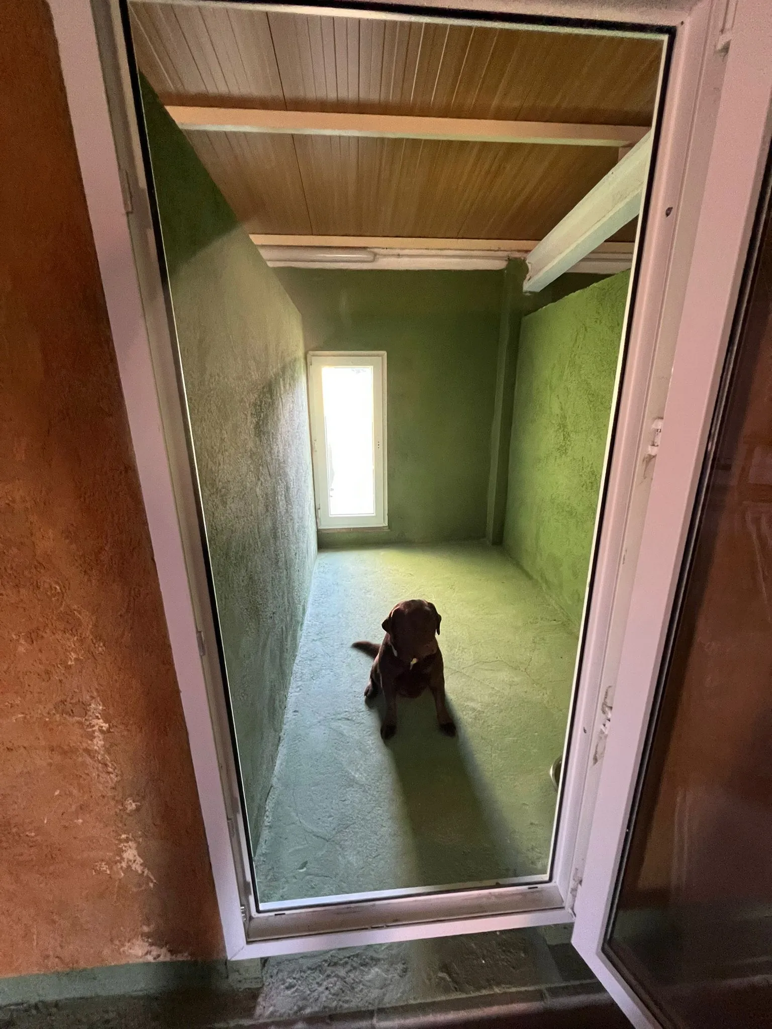 residencia canina miracatpark