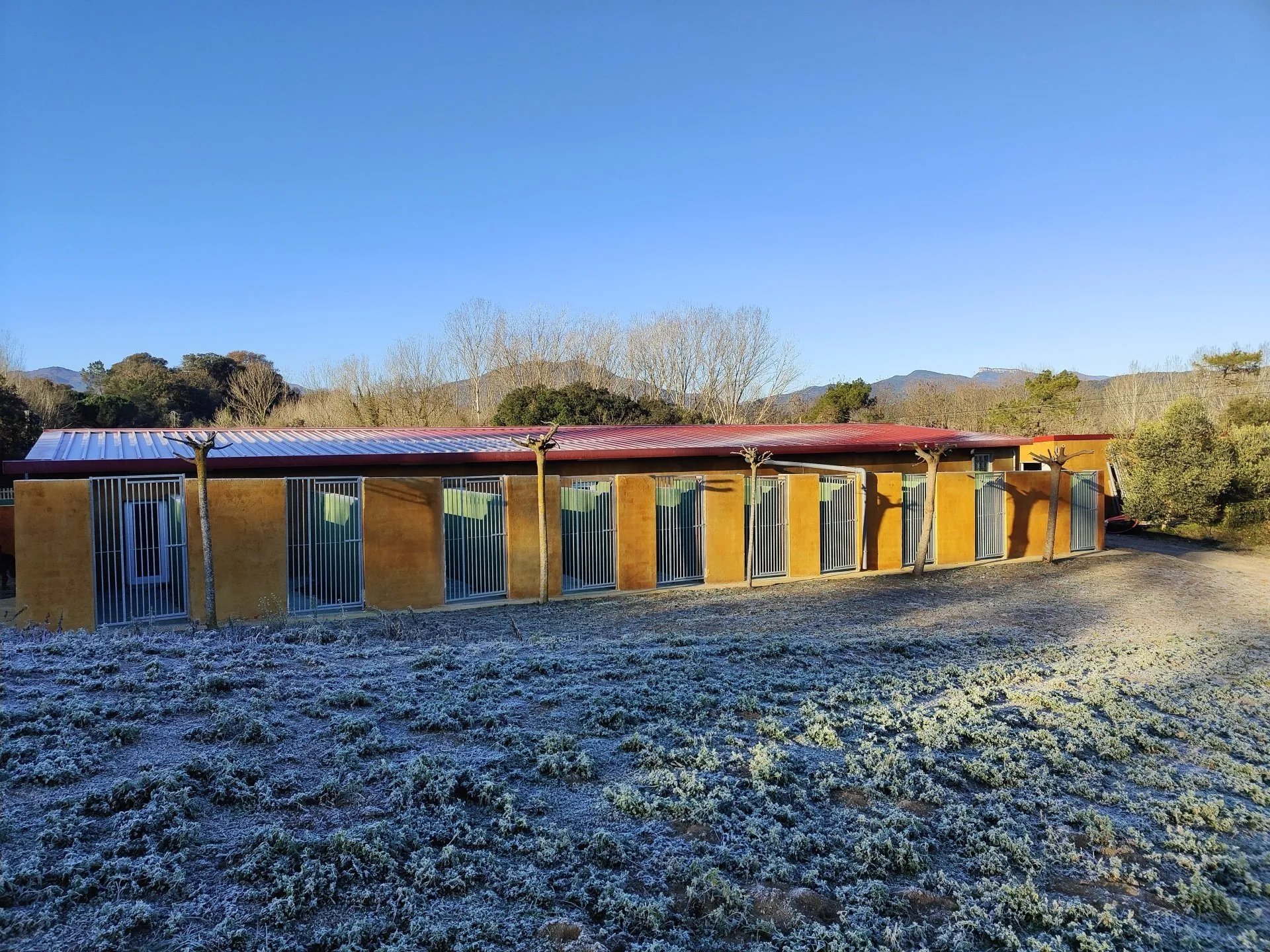 residencia canina miracatpark