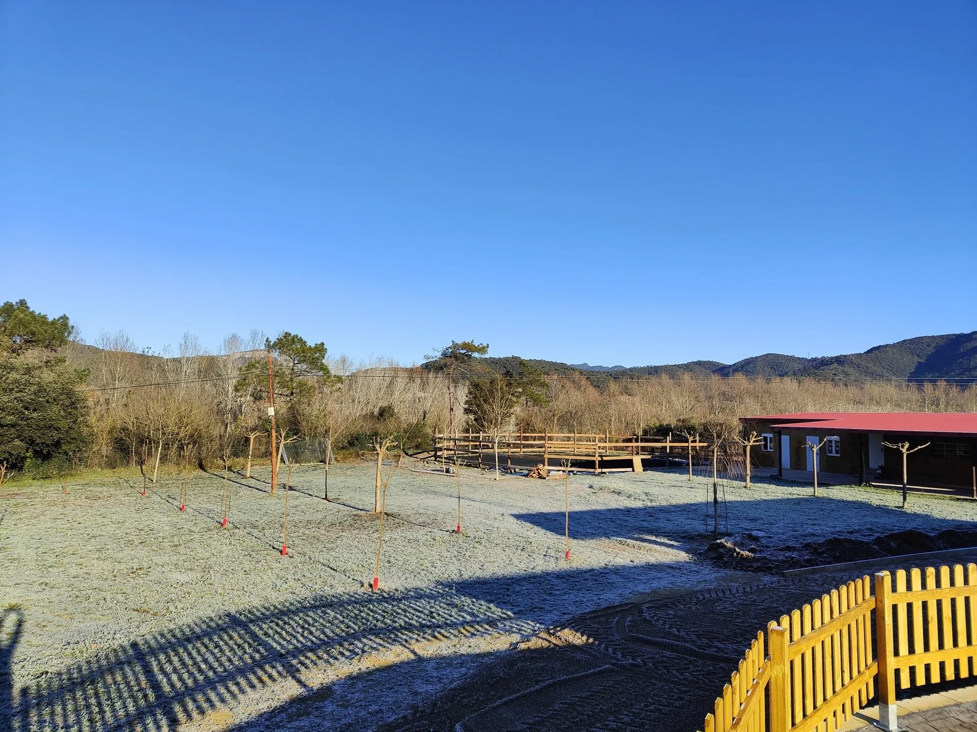 residencia canina miracatpark