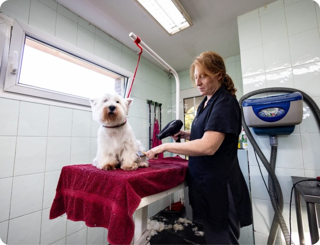 residencia canina la reserva