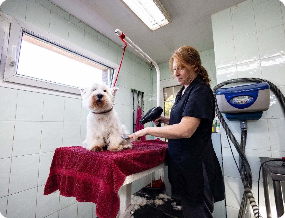 residencia canina la reserva