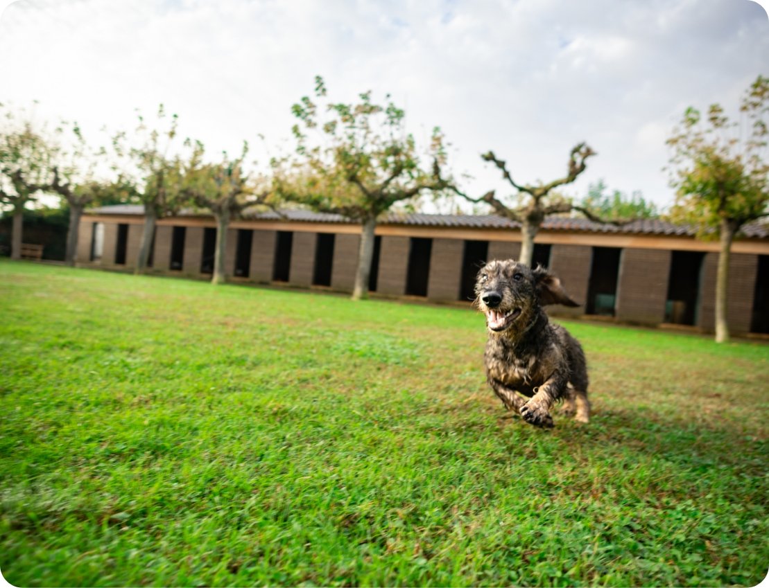 residencia canina la reserva