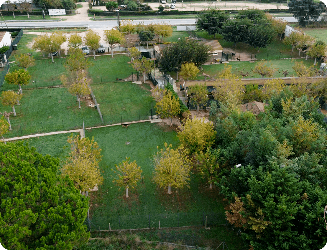 residencia canina la reserva