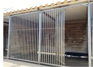 centro canino cecasur