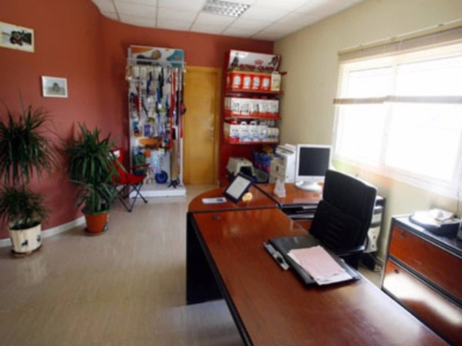 centro canino la luna