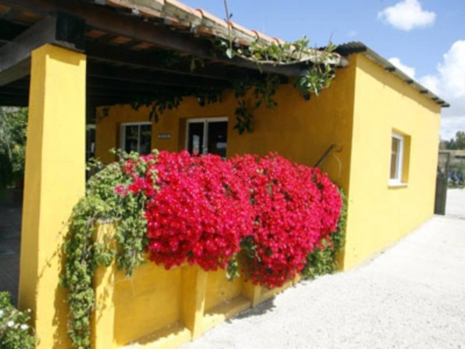 centro canino la luna