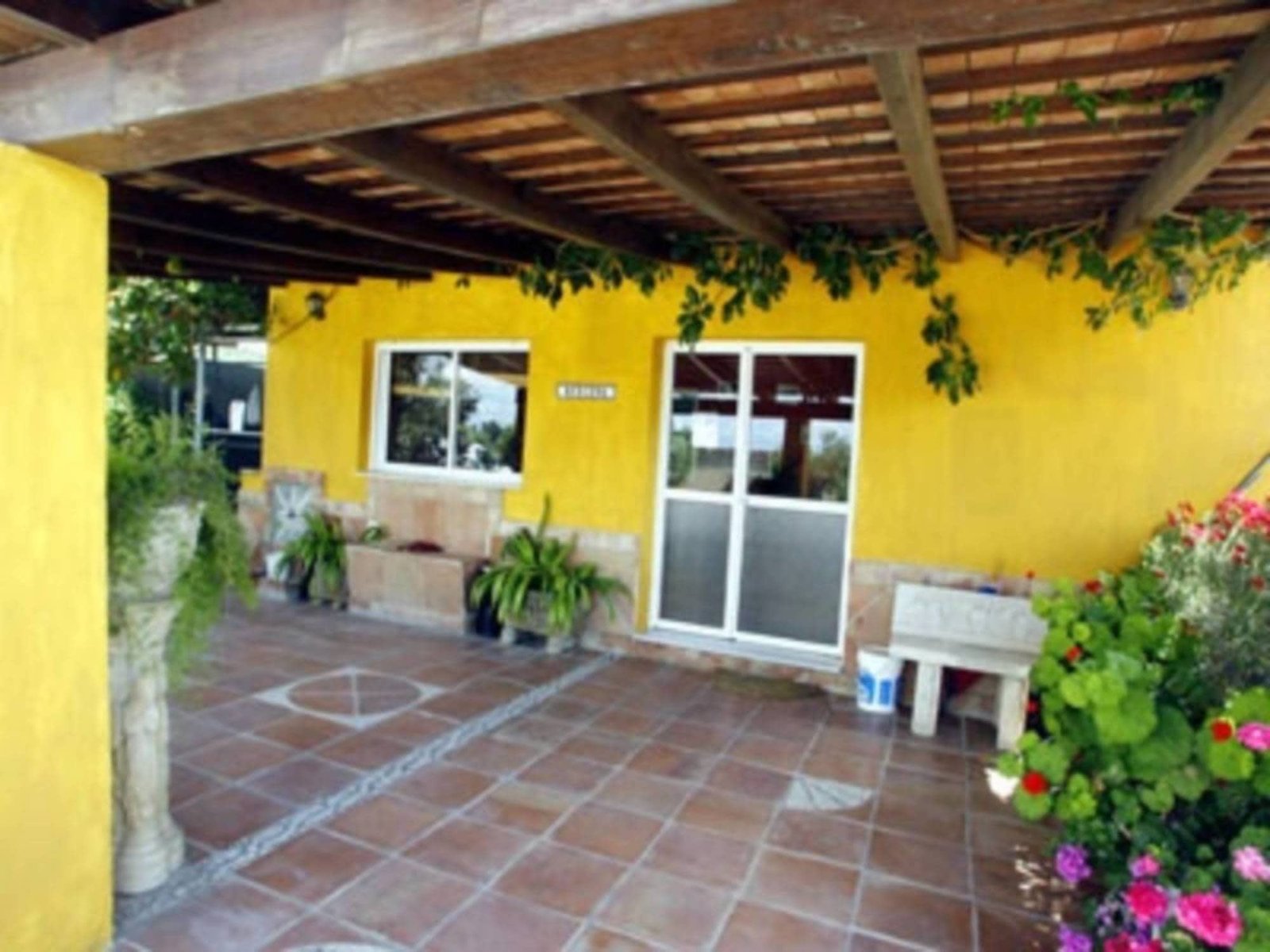 centro canino la luna