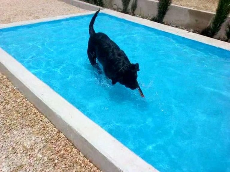 residencia canina tomelloso