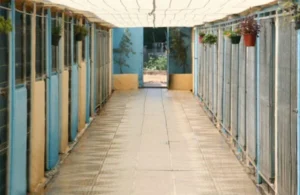 residencia canina las cabrerizas del sur