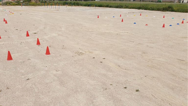 residencia canina tomelloso