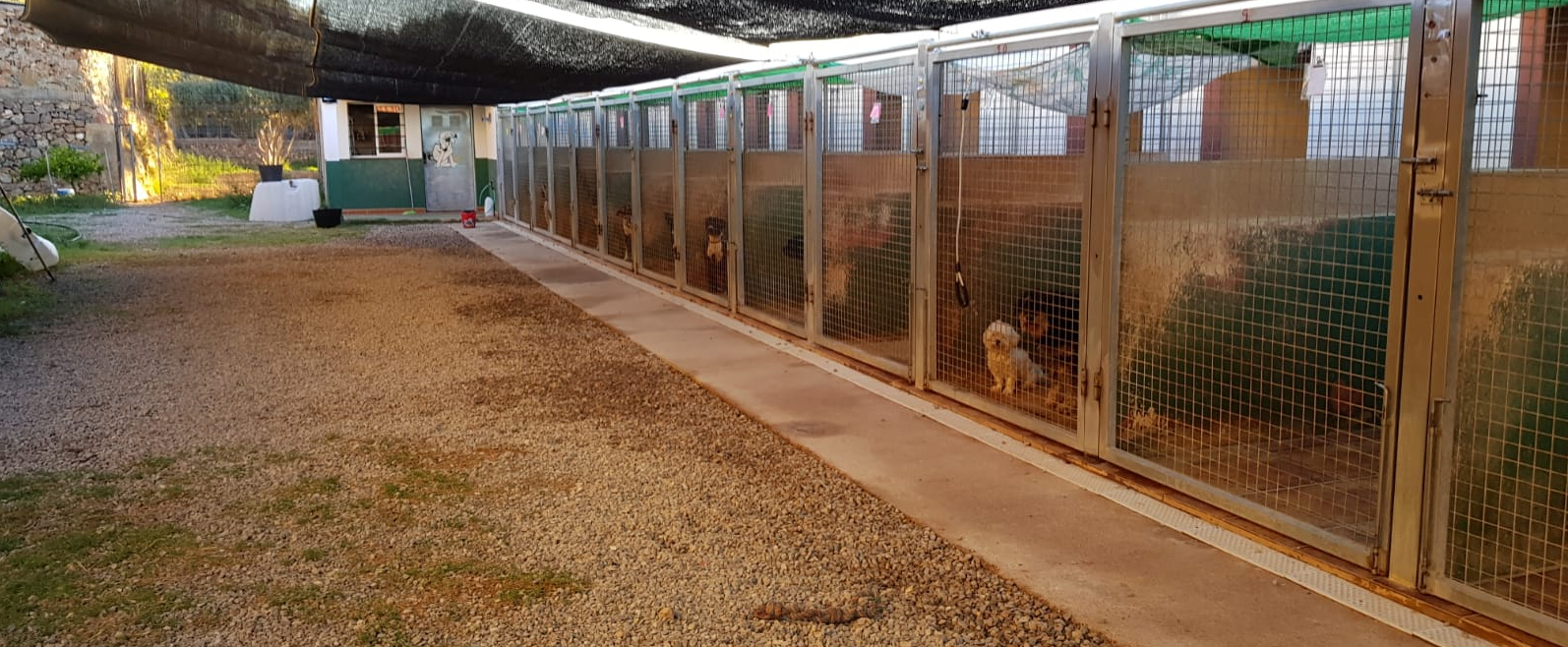residencia canina idefix