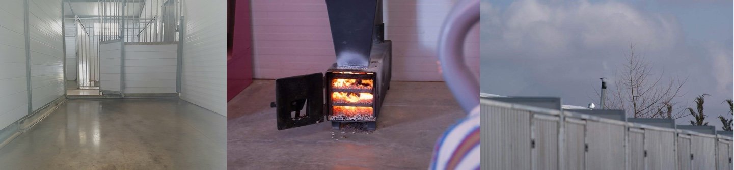 residencia canina braña alta