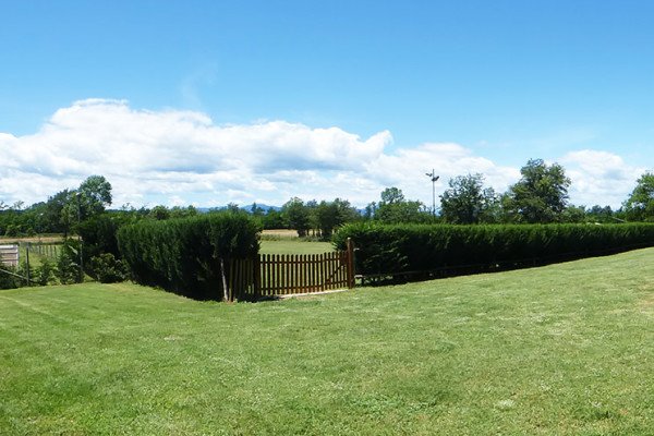 residencia canina rockendall