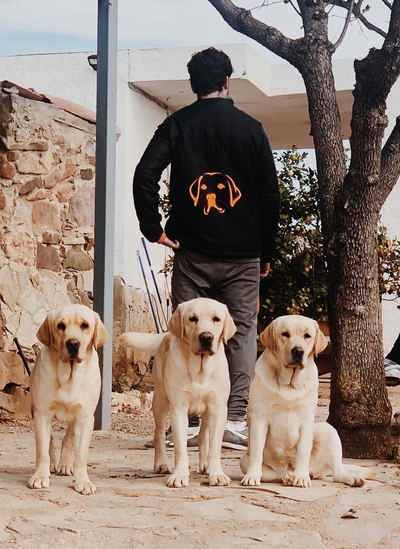 residencia canina las azancas