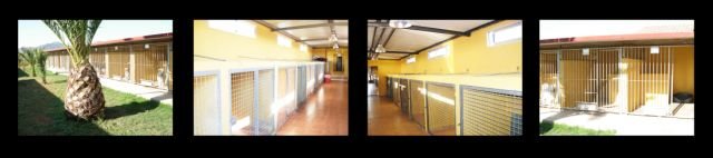 residencia canina mediterrania