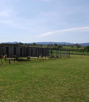 residencia canina can planet