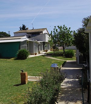 residencia canina can planet