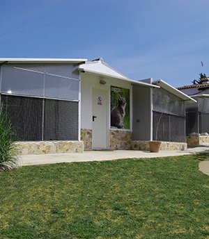 residencia canina can planet