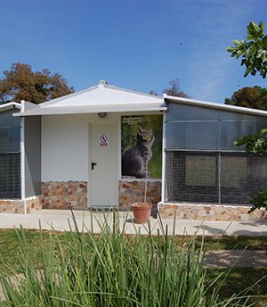 residencia canina can planet