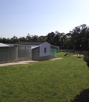 residencia canina can planet