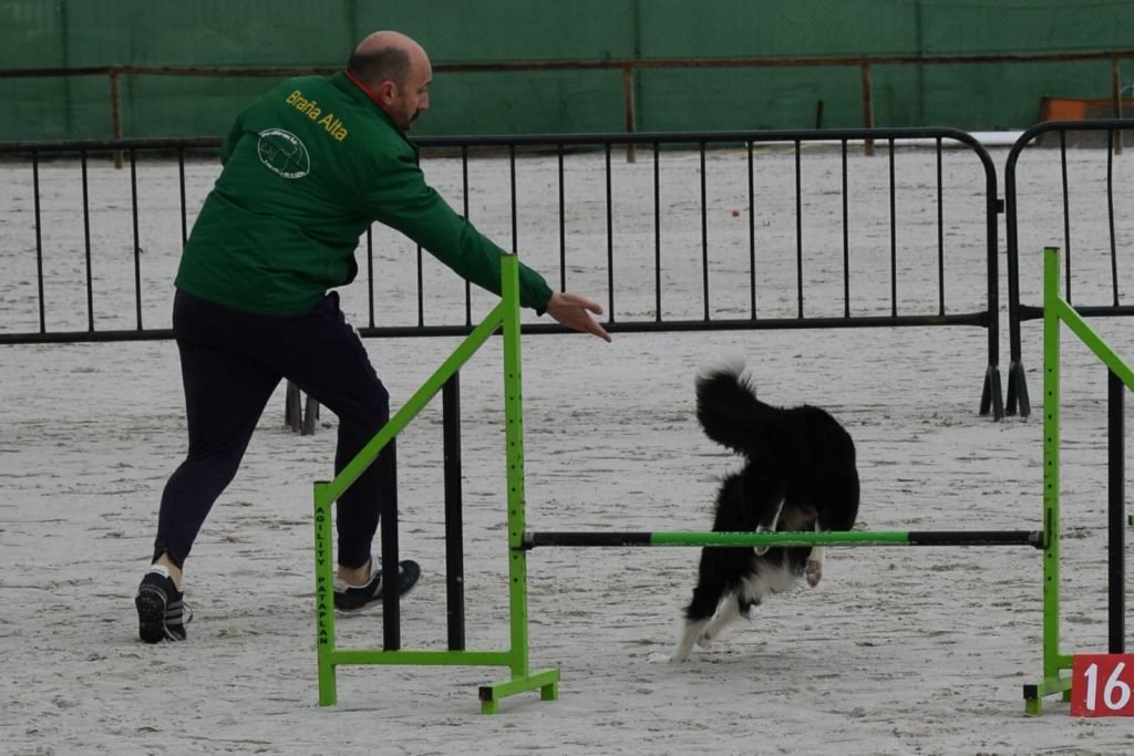 residencia canina braña alta