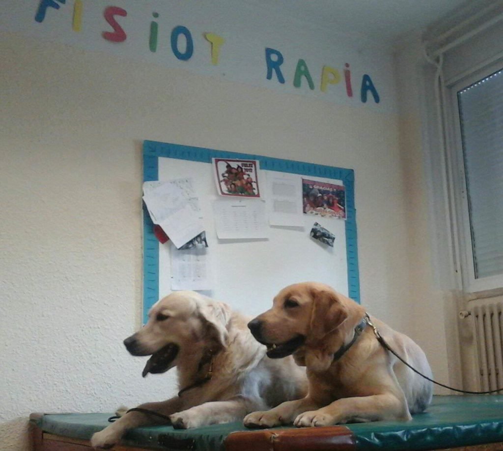 residencia canina braña alta